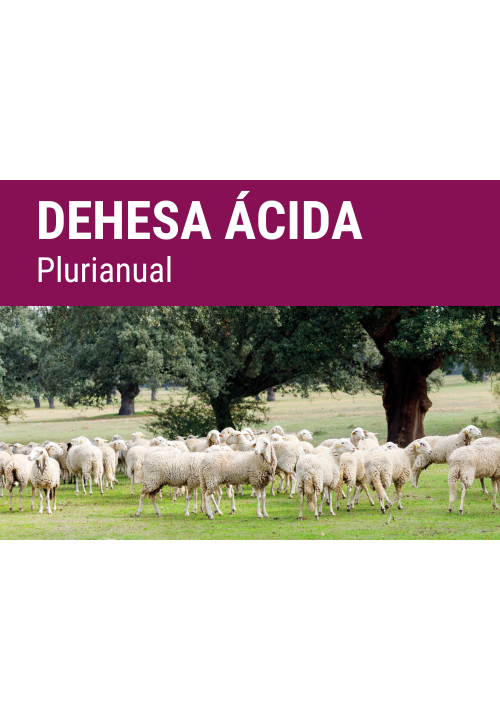 SEMILLA PRADERA FORMULA SECMIX ACIDO