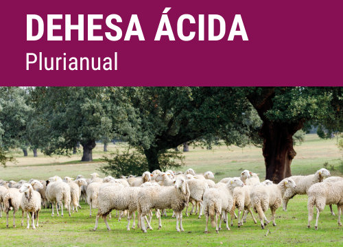 SEMILLA PRADERA FORMULA SECMIX ACIDO