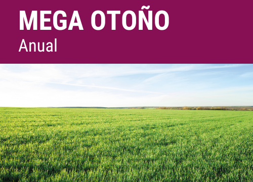 SEMILLA PRADERA FORMULA SPEEDYLMIX MEGA