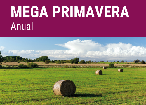 SEMILLA PRADERA F.MEGA PRIMAVERA