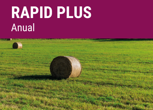 SEMILLA PRADERA FORMULA SPEEDYLMIX PLUS