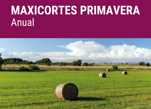 SEMILLA PRADERA F.MAXICORTES PRIMAVERA