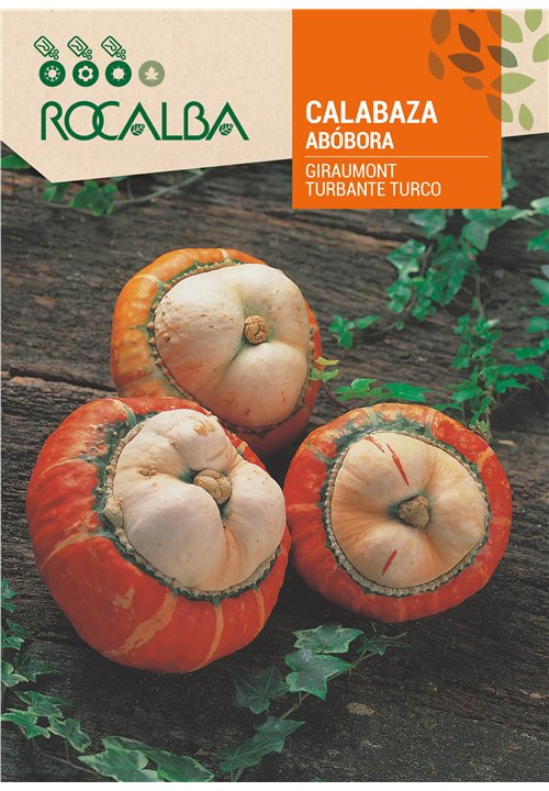 CALABAZA GIRAUMON TURBAN 'TURBANTE TURCO'