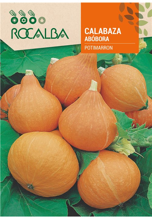 CALABAZA POTIMARRON