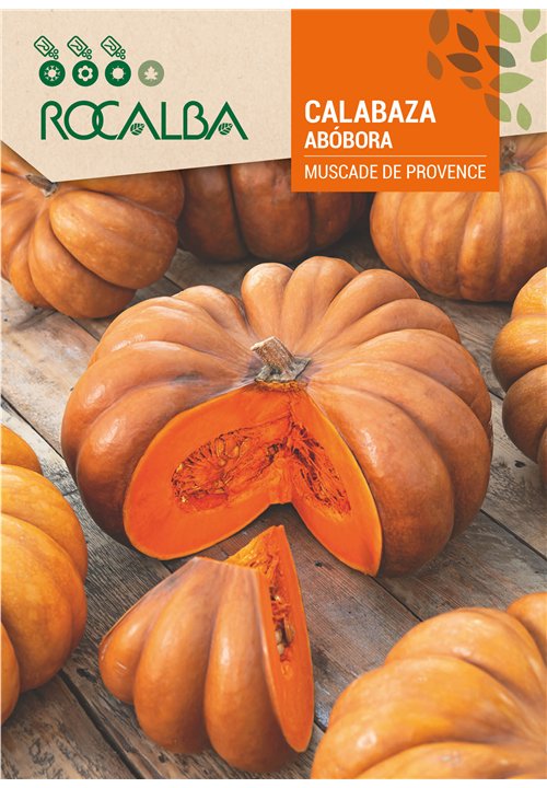 CALABAZA MUSCADE DE PROVENCE