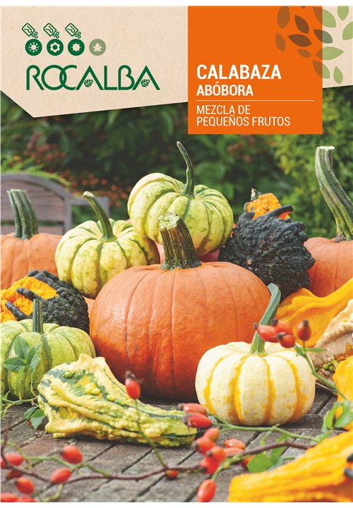 CALABAZA MEZCLA DE PEQUEÑOS FRUTOS