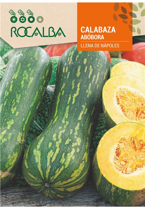 CALABAZA LLENA DE NÁPOLES