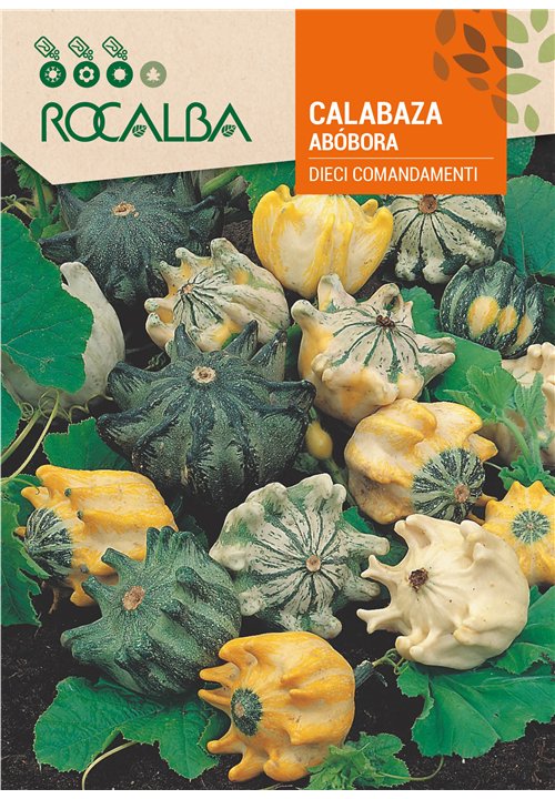 CALABAZA DIECI COMANDAMENTI