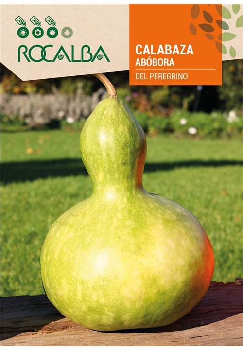 CALABAZA EMPHASIS DEL PEREGRINO