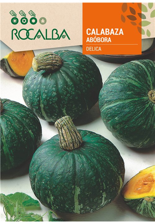 CALABAZA DELICA