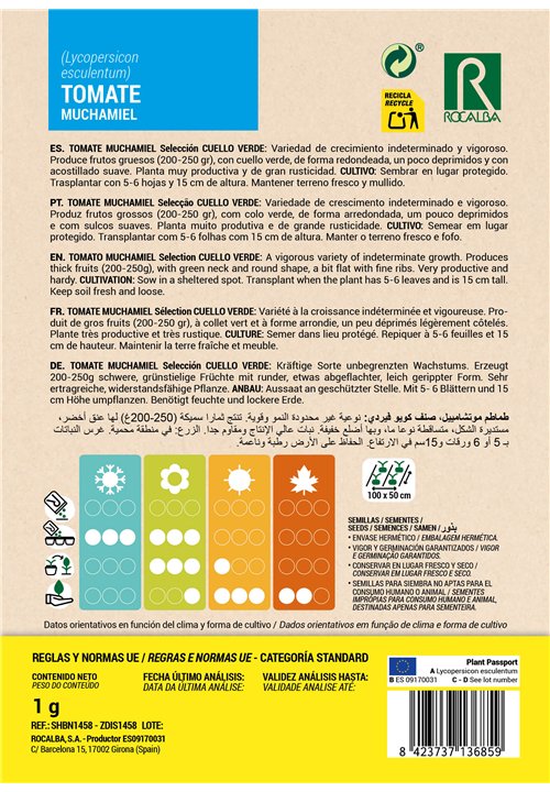 TOMATE MUCHAMIEL Selecção CUELLO VERDE