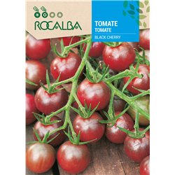 TOMATO BLACK CHERRY