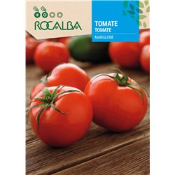TOMATE MARGLOBE
