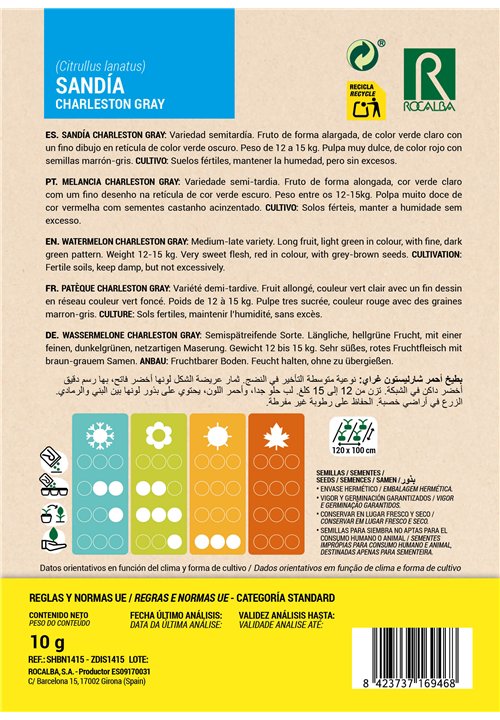 PATÈQUE CHARLESTON GRAY