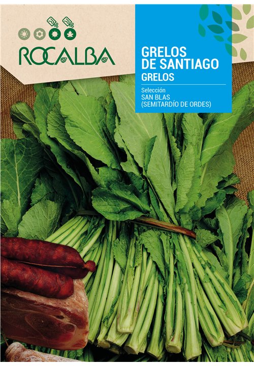 NABO GRELOS DE SAN BLAS