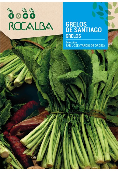 NABO GRELOS DE SAN JOSÉ