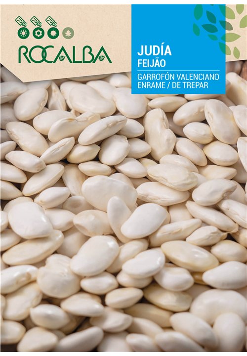 FEIJÃO GARROFÓN VALENCIANO