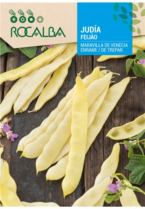 FEIJÃO MARAVILLA DE VENECIA