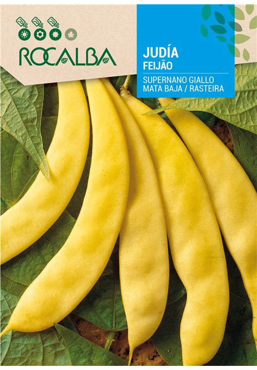 FEIJÃO SUPERNANO GIALLO