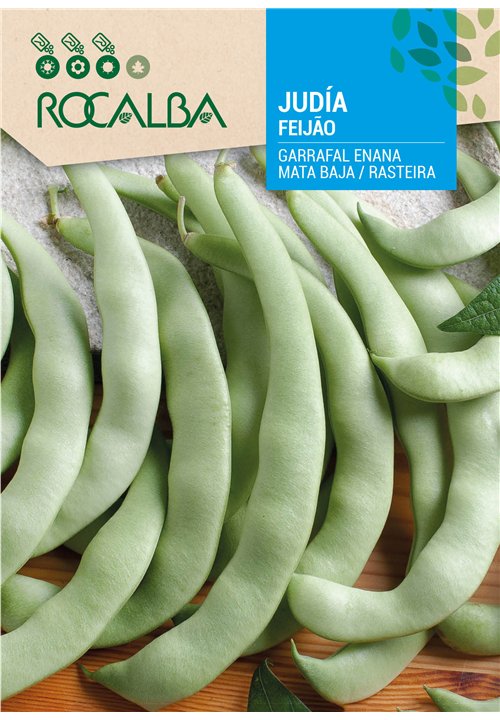 FEIJÃO GARRAFAL ENANA