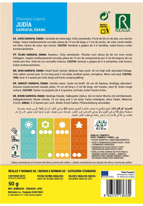 FEIJÃO GARRAFAL ENANA