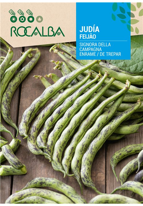 FEIJÃO SIGNORA DELLA CAMPAGNA