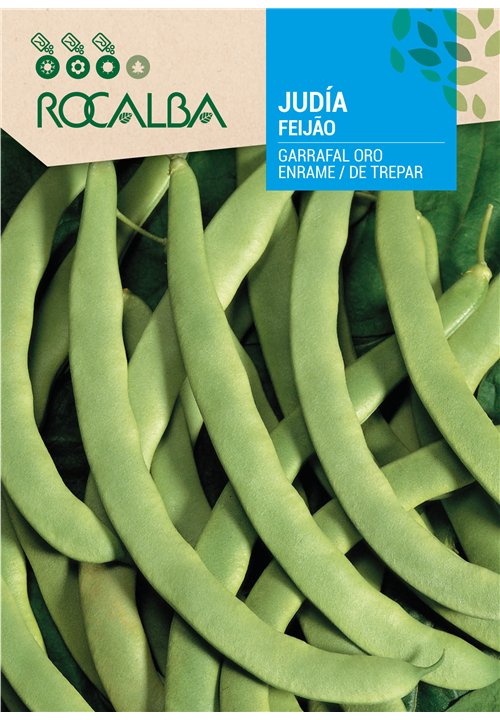 FEIJÃO GARRAFAL ORO