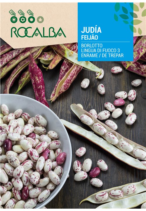 FEIJÃO ENRAME BORLOTTO LINGUA DI FUOCO 3