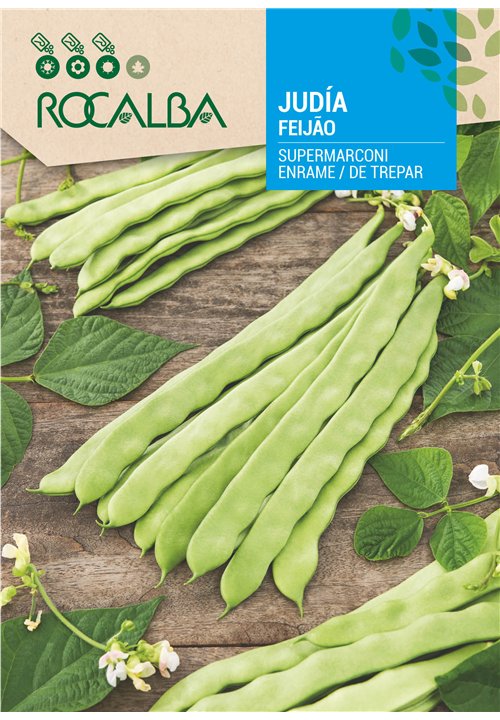 FEIJÃO SUPERMARCONI