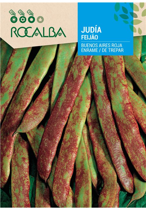 FEIJÃO BUENOS AIRES ROJA