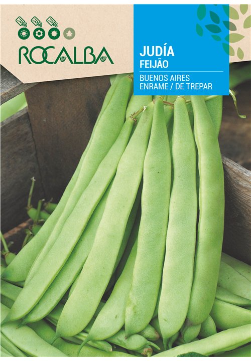 FEIJÃO BUENOS AIRES