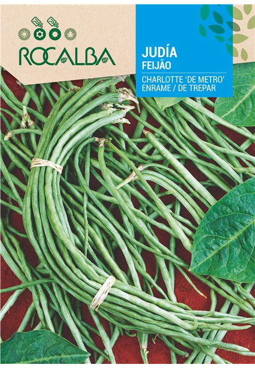 FEIJÃO CHARLOTTE DE METRO