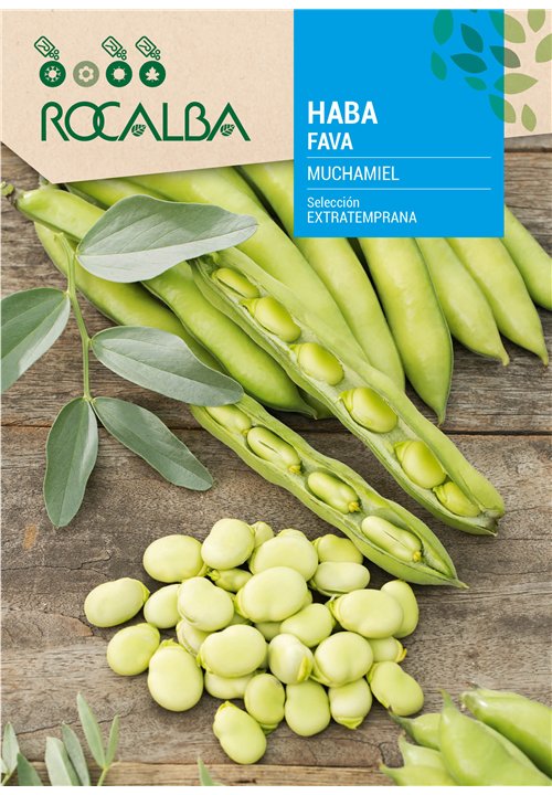 FAVA MUCHAMIEL 'EXTRATEMPRANA'