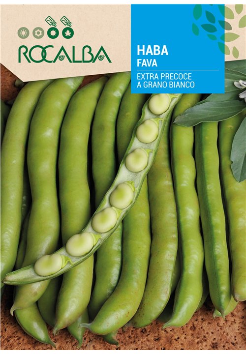 FAVA EXTRA PRECOCE A GRANO BIANCO