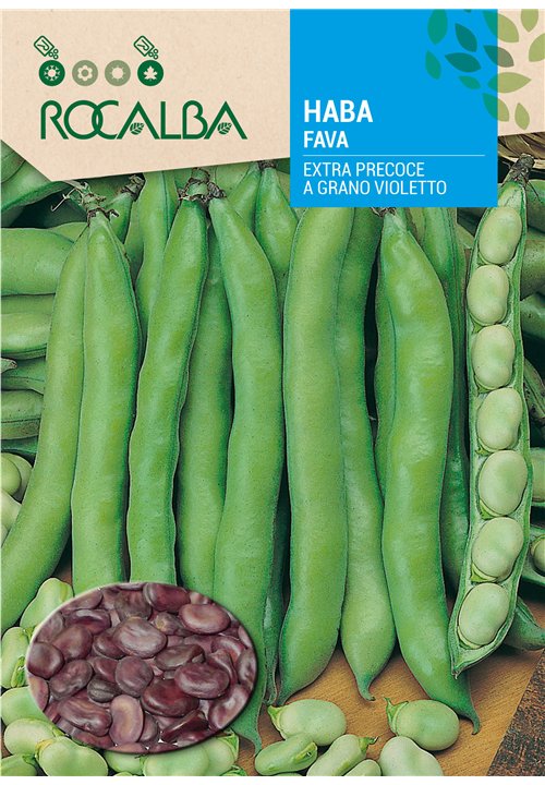 FAVA EXTRA PRECOCE A GRANO VIOLETTO