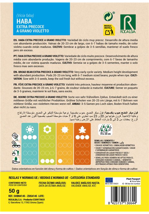 FÈVE EXTRA PRECOCE A GRANO VIOLETTO
