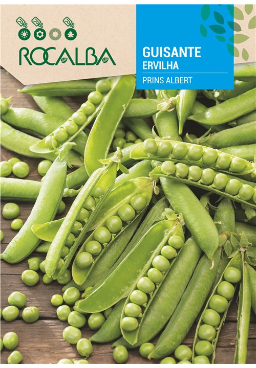 ERVILHA PRINS ALBERT