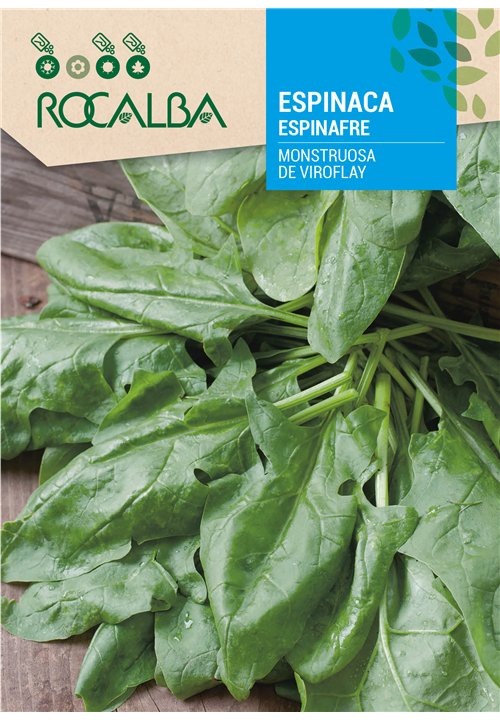 ESPINAFRE MONSTRUOSA DE VIROFLAY