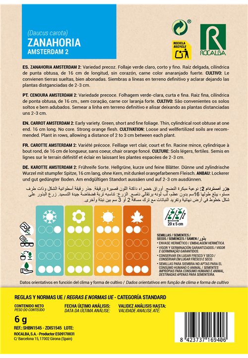 ZANAHORIA AMSTERDAM 2