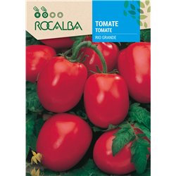 TOMATE RIO GRANDE