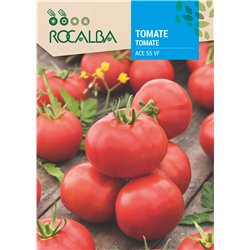 TOMATE ACE 55 VF