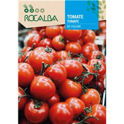 TOMATE DE COLGAR