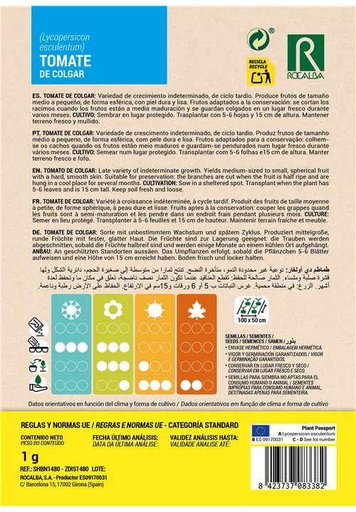 TOMATE DE COLGAR