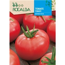 TOMATE BERNER ROSE