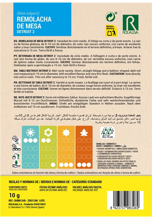 BETTERAVE DE TABLE DETROIT 2