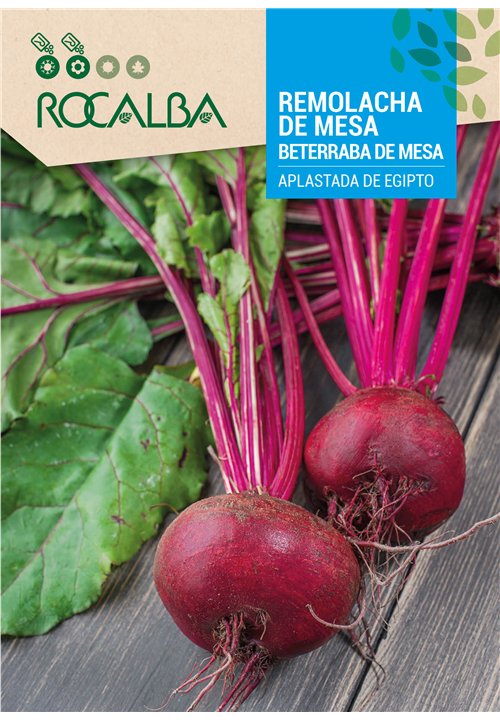 BETERRABA DE MESA APLASTADA DE EGIPTO