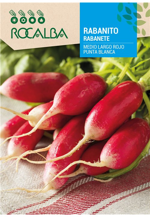 RABANETE MEDIO LARGO ROJO PUNTA BLANCA