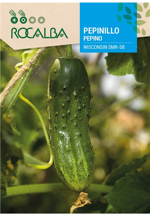 PEPINO WISCONSIN SMR 58