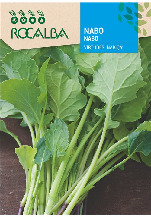 NABO VIRTUDES ‘NABIÇA’