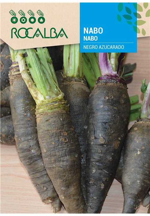 NABO NEGRO AZUCARADO